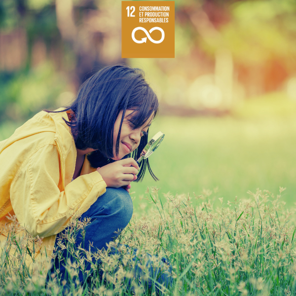 Consommation responsable